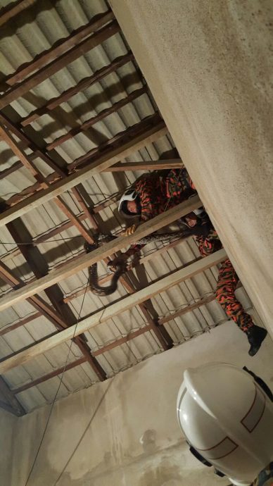 （已签发）柔：【特稿】不轻视捉蛇投报 阿兹米：当紧急事件处理