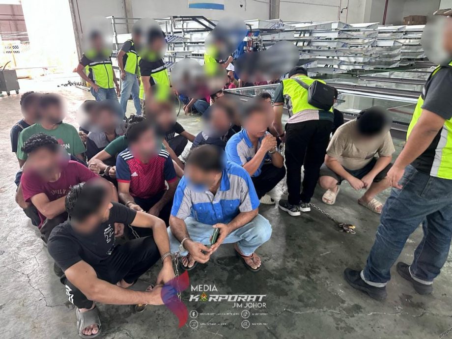 (已签发)柔:柔移民局扫荡行动 扣54外劳2本地人