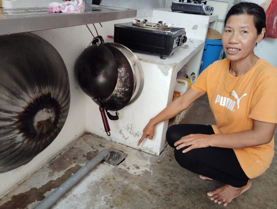 （已签发）柔：民生特工队：大树贴近住家引安全隐忧 居民盼当局速砍伐