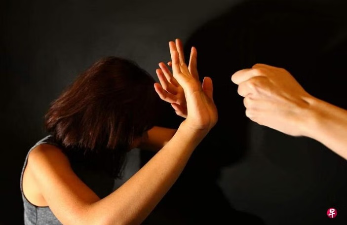 (已签发)柔:狮城二三事:指责妻子搞外遇疑儿子非亲生 男子对妻动粗判监三周