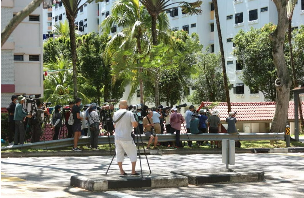 (已签发)柔:狮城二三事:逾200人争睹猫头鹰 有公众不满报警