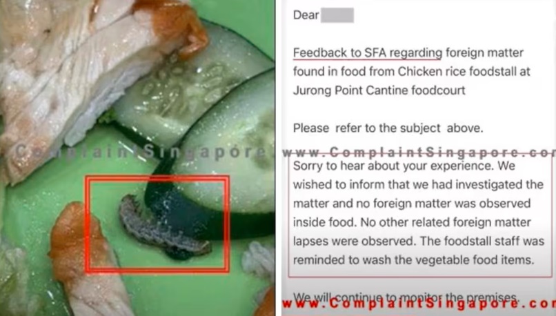 (已签发)柔:狮城二三事:鸡饭内发现蠕动毛毛虫 食客:不是我能接受的蛋白质!