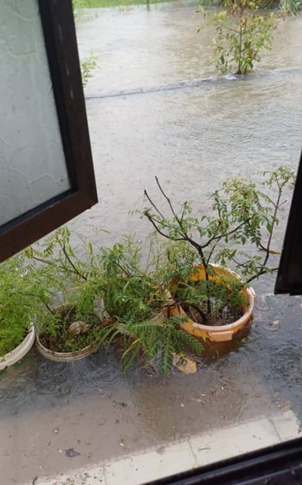 (早报可头)大都会/八打灵英达花园雨后成灾困扰十多年!