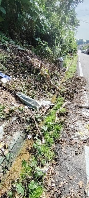 （版3头）大都会/甲洞乌鲁新村老树遭暴风雨摧残倒下 险击中轿车 