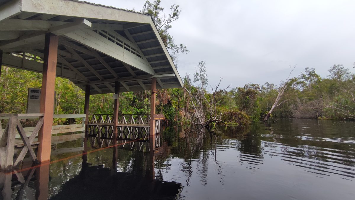 15/6 交大北马/“发现砂拉越”:去一个只能乘船探索的国家公园─马鲁丹国家公园