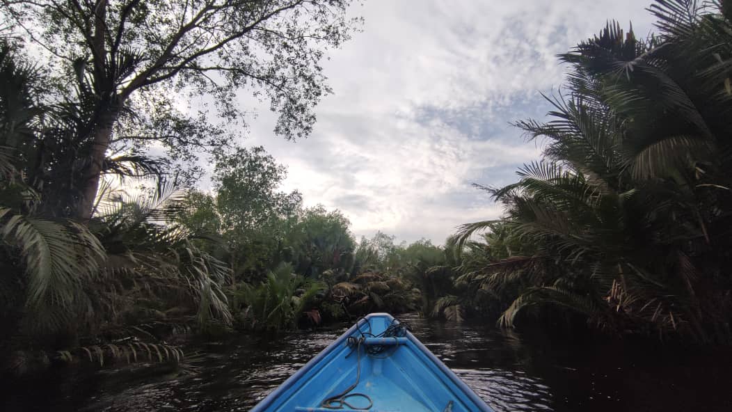 15/6 交大北马/“发现砂拉越”:去一个只能乘船探索的国家公园─马鲁丹国家公园