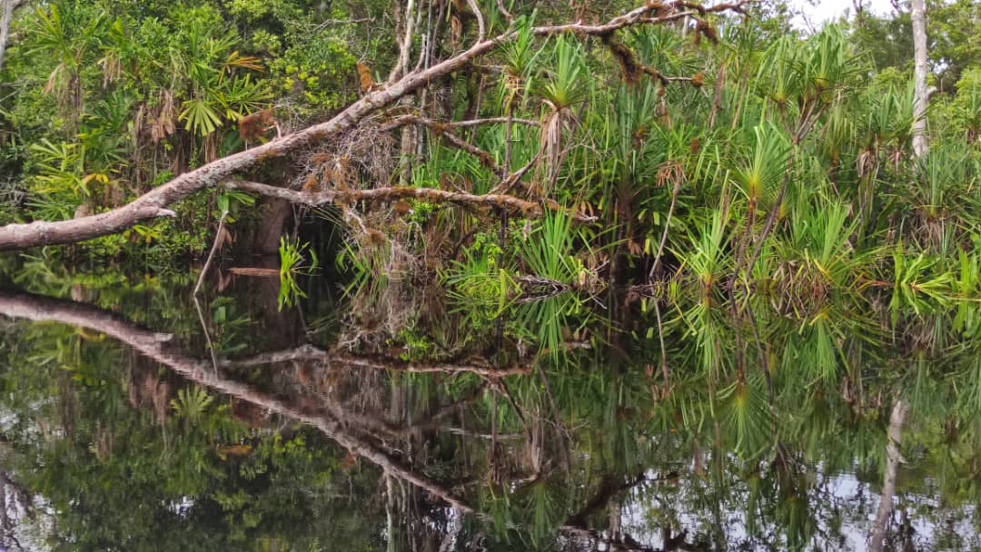 15/6 交大北马/“发现砂拉越”:去一个只能乘船探索的国家公园─马鲁丹国家公园