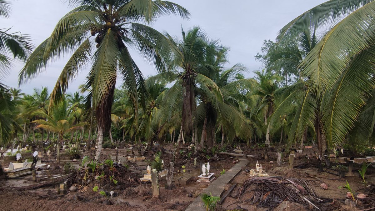 15/6 交大北马/“发现砂拉越”:去一个只能乘船探索的国家公园─马鲁丹国家公园