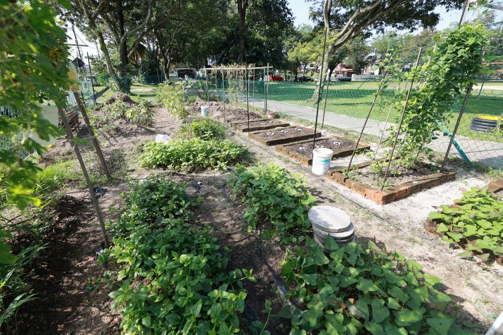 19/6 大都会-绿意盎然/美嘉花园/13图