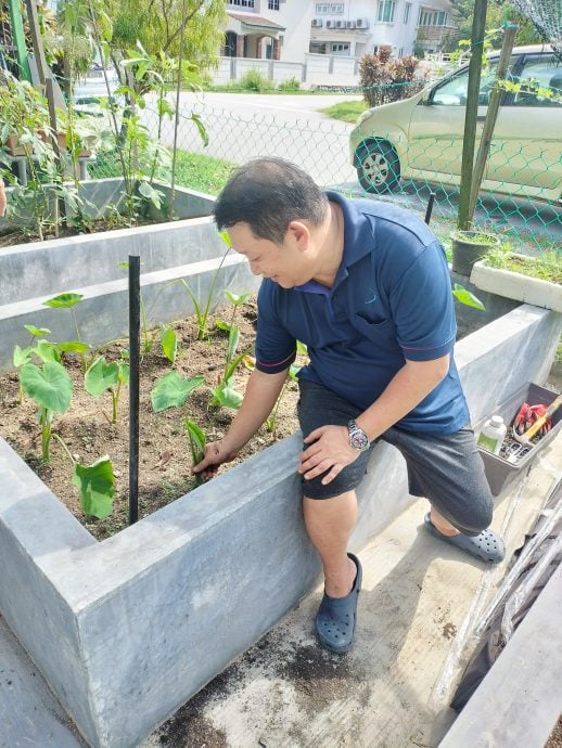 19/6 大都会-绿意盎然/美嘉花园/13图