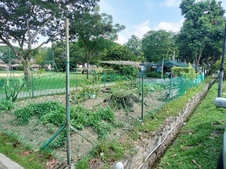 19/6 大都会-绿意盎然/美嘉花园/13图