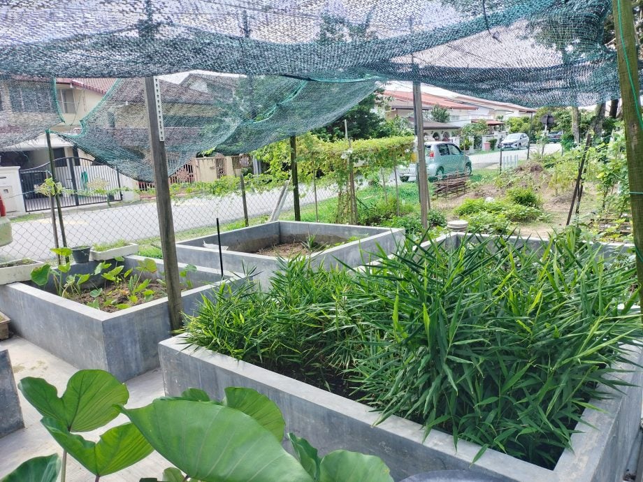 19/6 大都会-绿意盎然/美嘉花园/13图