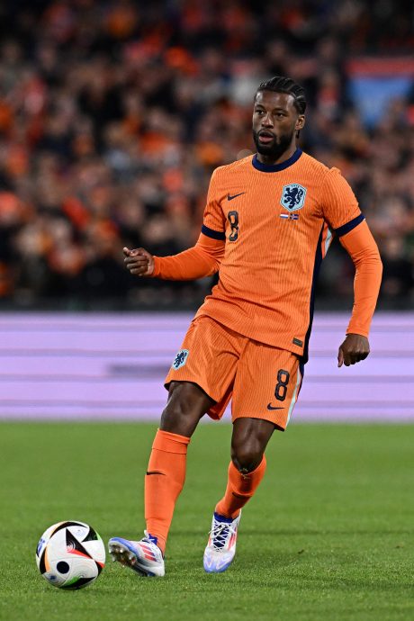 2024年欧洲杯D组| 双双赛前折兵损将 荷 波谁在伤口撒盐