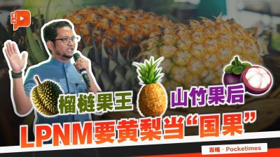 经济潜质高 LPNM：黄梨有资格当国果