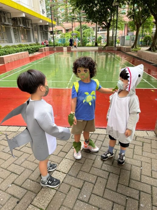 4岁儿cosplay海龟 蔡少芬巧手打扮创意十足