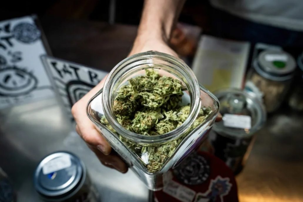 80%泰人支持政府草案 盼重新将大麻列毒品