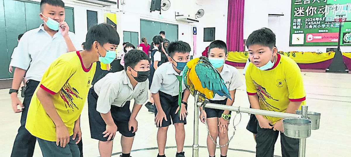 ■三合兴小学首办 迷你动物展 增知识(主 首