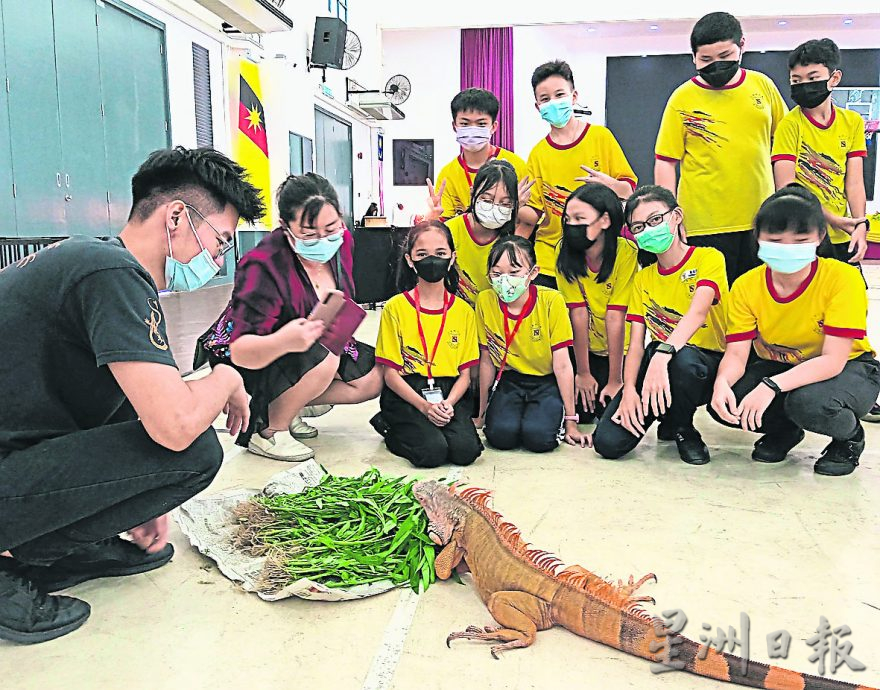 ■三合兴小学首办 迷你动物展 增知识(主 首