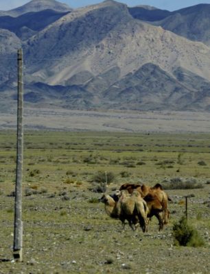 【中国】北疆，上帝的后花园