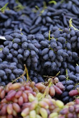 【中国】北疆，上帝的后花园