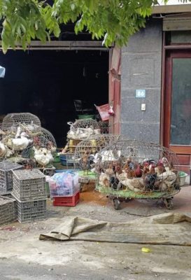 【越南】越南,瘦得有理!