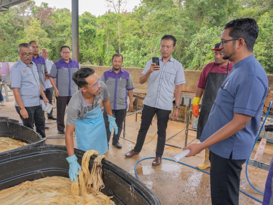 东:大马黄梨工业局访吉兰丹，参观黄梨醋及洋麻纤维加工厂。