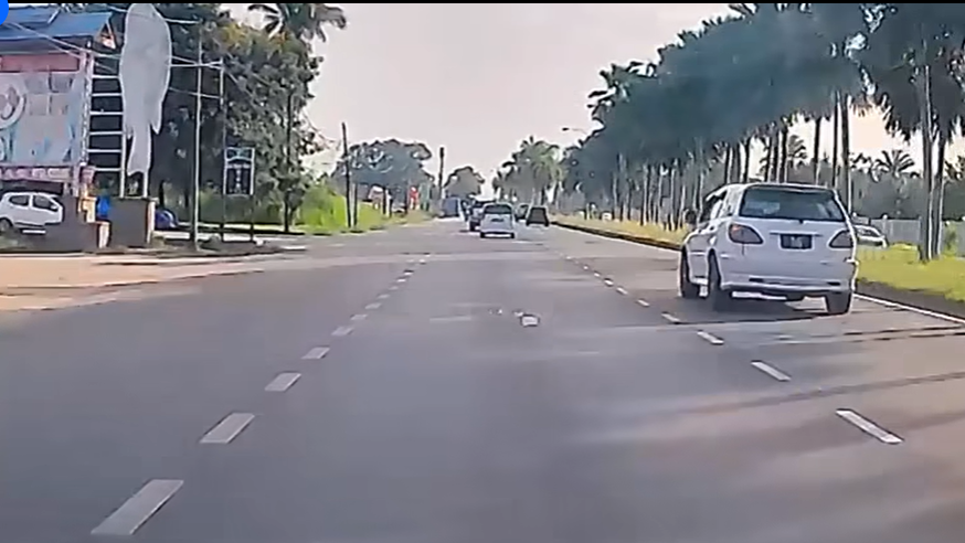 东:乱抛垃圾被捉拍 市政厅上网公开指责