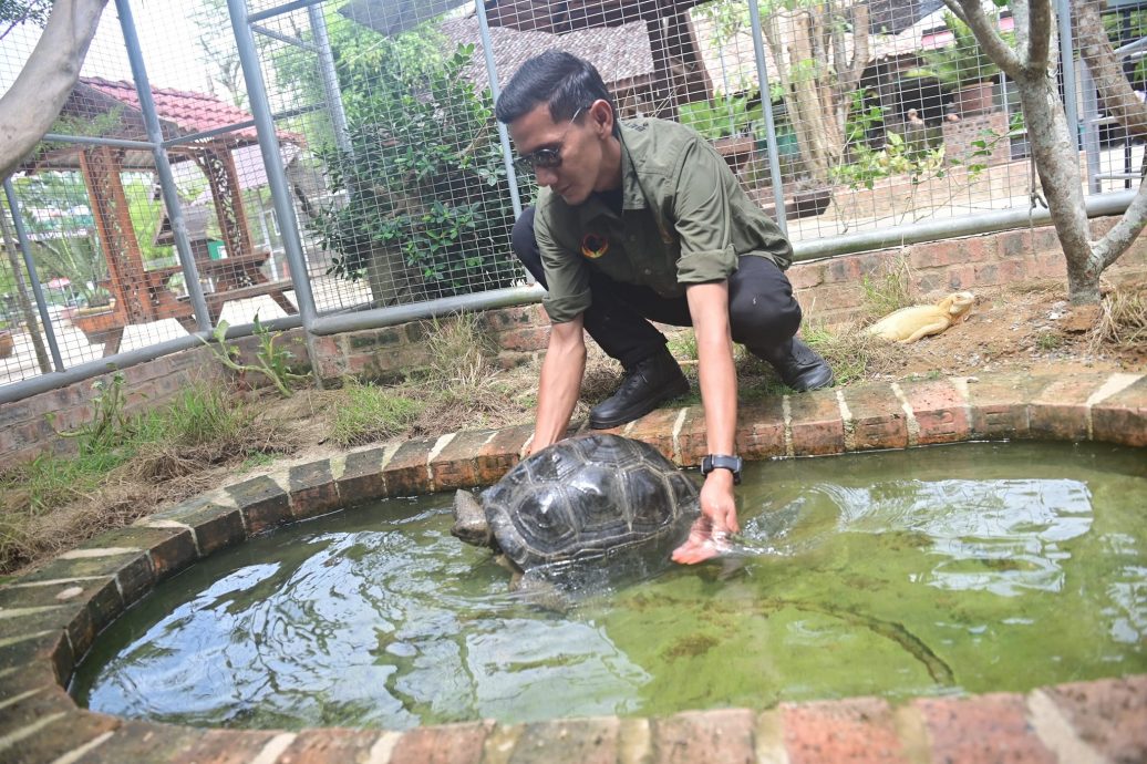 东:天气酷热,连动物也受不了!瓜拉伯浪拉兹雅动物园5头动物难顶热浪而中暑死亡。