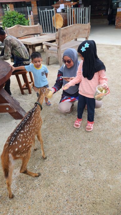 东:天气酷热,连动物也受不了!瓜拉伯浪拉兹雅动物园5头动物难顶热浪而中暑死亡。