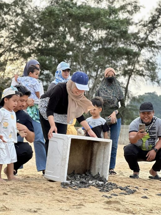 东:如果想要看海龟登陆产卵或释放小海龟,可以到位于吉利地的Ma'Daerah海龟保育中心