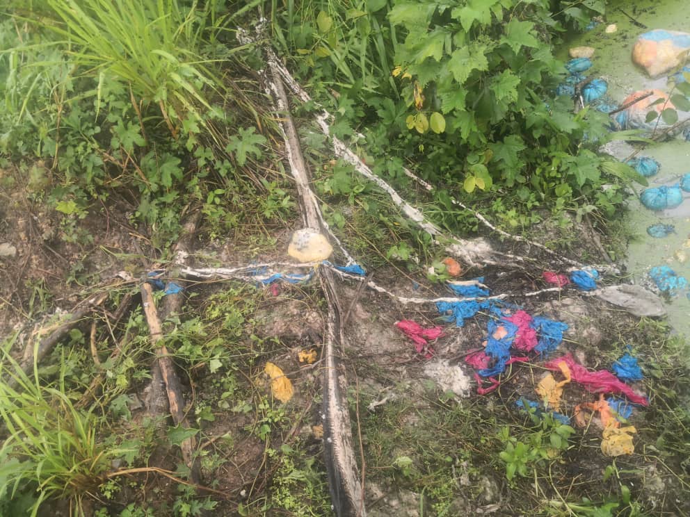 东：油棕园小沟遭人乱丢家禽内脏小园主气煞