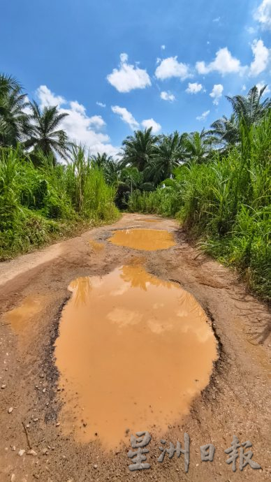 东：热心商家响应号召资助修路