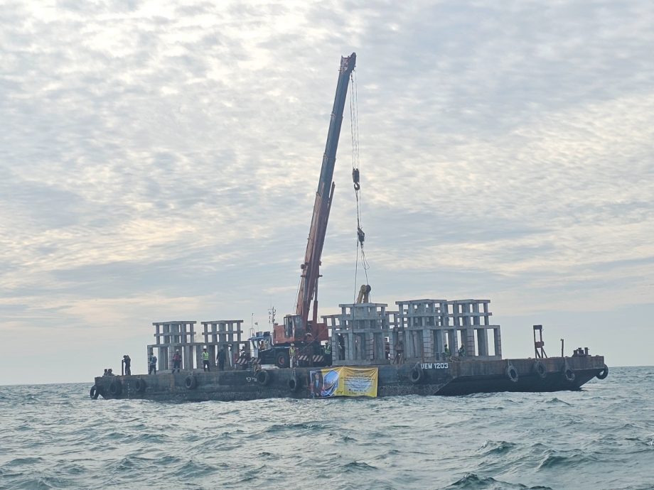 保确保海产供应持续 霹渔业局设47人造暗礁