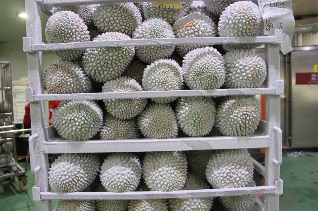 全:中国与大马签议定书,榴梿业者希望农粮部尽快公布出口作业流程