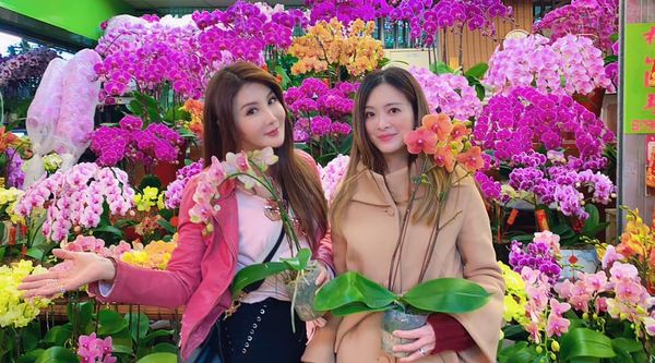 刘真49岁冥诞 闺蜜泪诉想念:最惆怅的季节