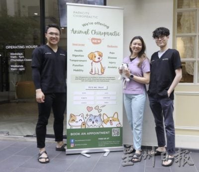 动物脊椎治疗师林诗仪/揭开动物性情大变的真实原因