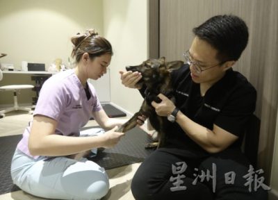 动物脊椎治疗师林诗仪/揭开动物性情大变的真实原因