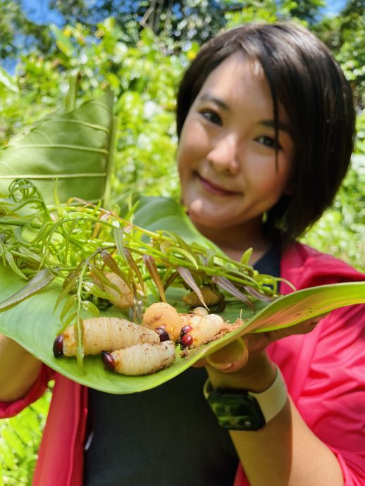 发现砂拉越/中砂大城小镇自驾旅游