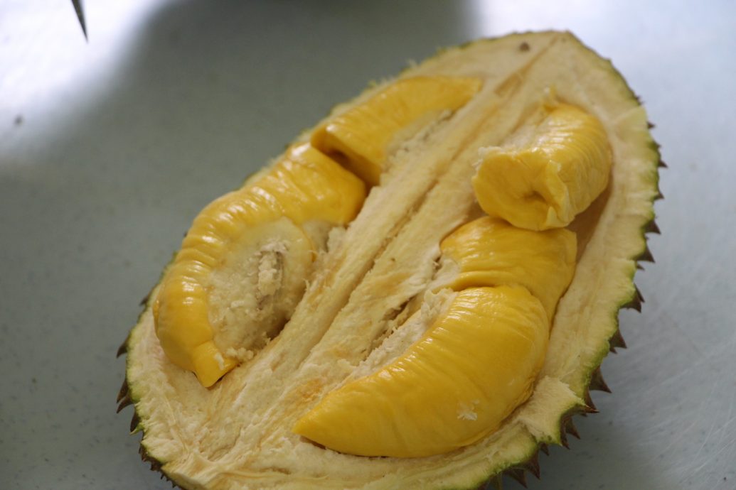 (取代签发)东05:彭果农公会呼吁榴梿农民申请MyGAP,积极出口榴梿鲜果至中国