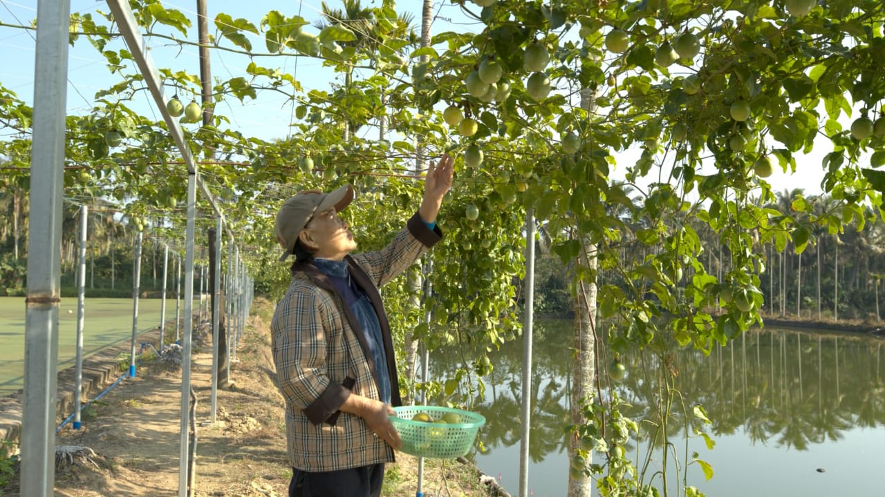 吴宝莲/每日一篇/大马人在中国/国际组10/7/大马人在中国/吴宝莲