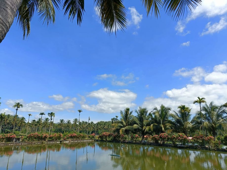 吴宝莲/每日一篇/大马人在中国/国际组10/7/大马人在中国/吴宝莲