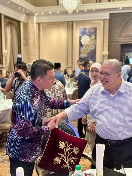 国会明复会 6土团议员资格待定