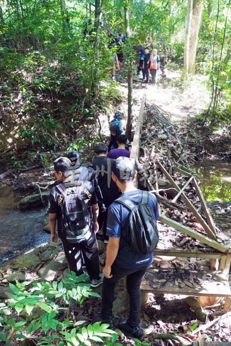 星角摄:在森林保护区内的玻璃市草药园(大北马)