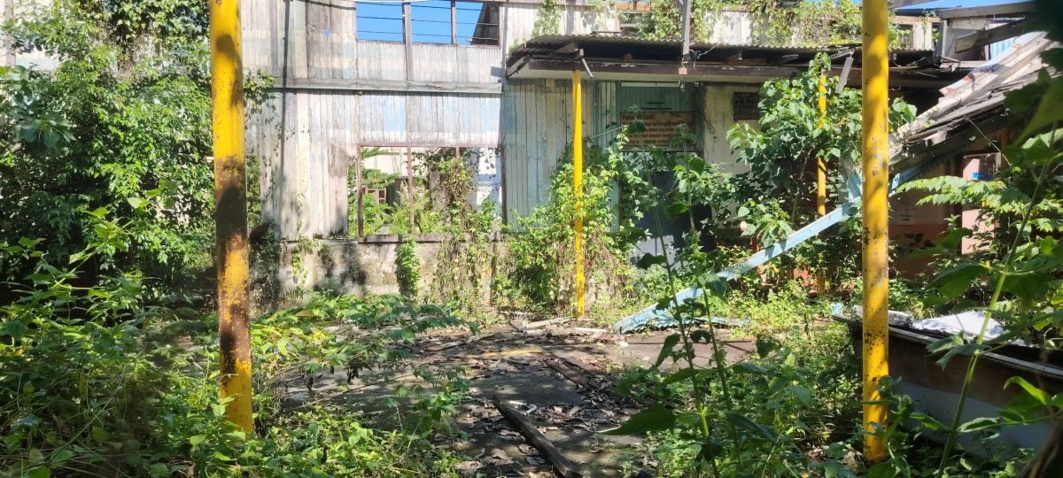 大都会/荒废建筑物沦为毒窟垃圾站 居民呼吁市议会尽速清理现场/7图(可选下)