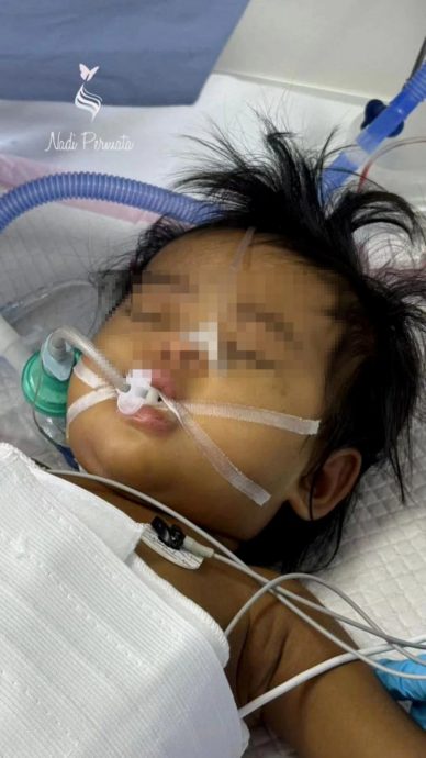 妈妈捐20%肝脏救女 获捐款赴上海完成手术 母女平安!