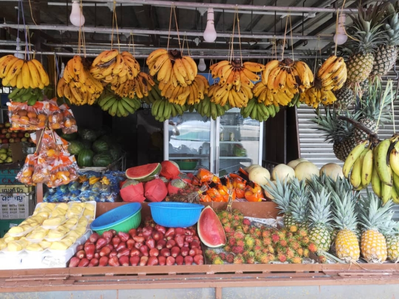 封面主文-大都会/电访柴油补贴课题/多图