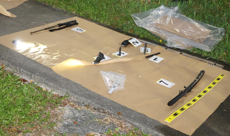 *已签发* 柔:狮城二三事:轿车逃追捕撞灯柱 男司机弃车逃 女乘客被捕