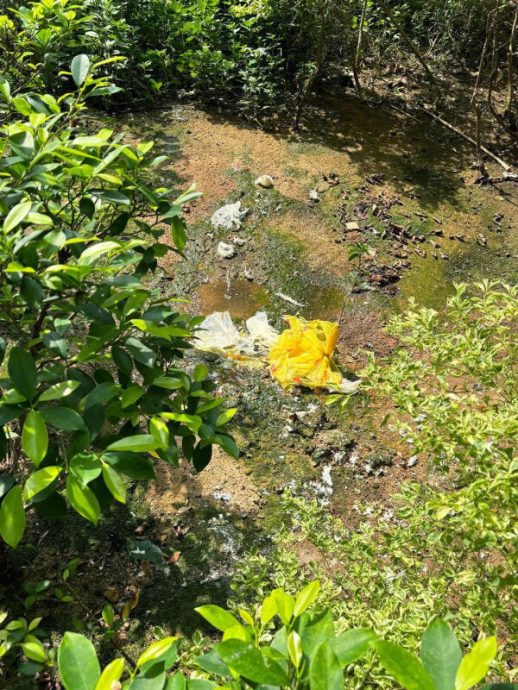**已签发**柔:狮城二三事:头条:天降“尿袋”溅四方,神秘恶客高空抛垃圾