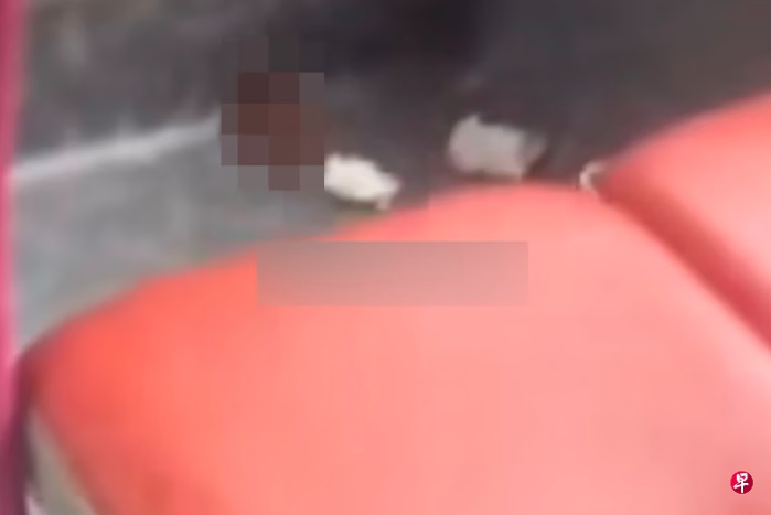 *已签发*柔:狮城二三事:座位惊现粪便 巴士服务被迫中断