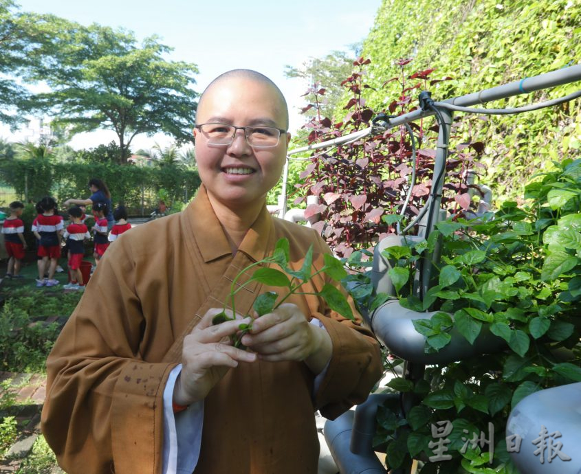 *已签发*柔:视频:特稿:锄地 堆肥 播种 收割 小农夫欢喜耕种乐